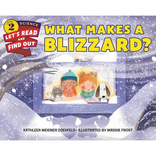 What Makes a Blizzard? - Paperback