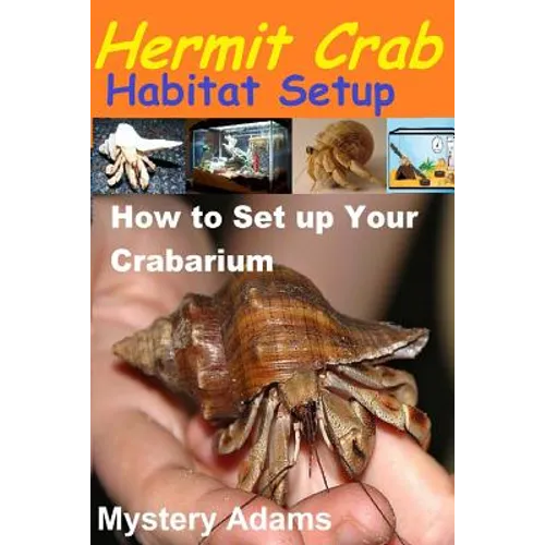 Hermit Crab Habitat Setup: Hermit Crab care and Habitat Set-up - Paperback