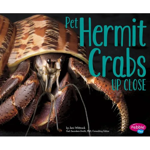 Pet Hermit Crabs Up Close - Paperback
