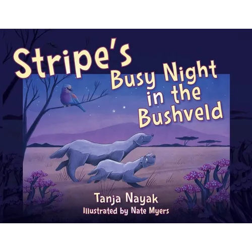 Stripe's Busy Night in the Bushveld - Paperback