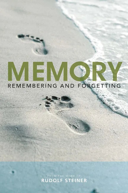 Memory: Remembering and Forgetting - Paperback