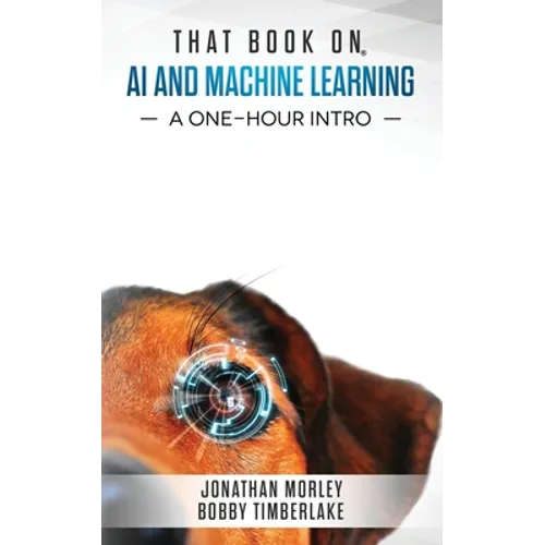 That Book on AI and Machine Learning: A One-Hour Intro - Paperback