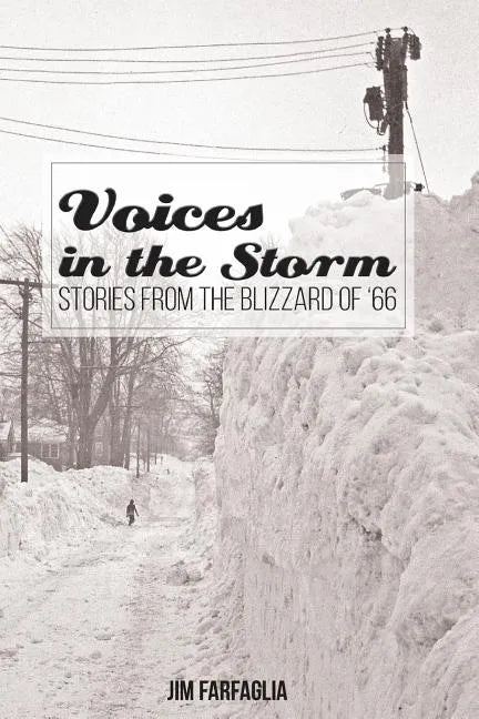 Voices in the Storm: Stories From The Blizzard of '66 - Paperback