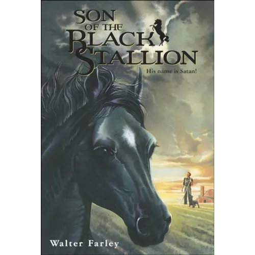 Son of the Black Stallion - Hardcover