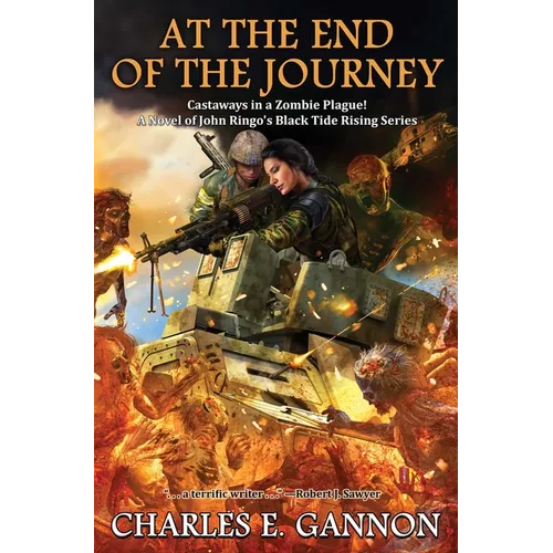 At the End of the Journey - Hardcover