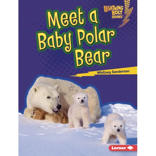 Meet a Baby Polar Bear - Library Binding