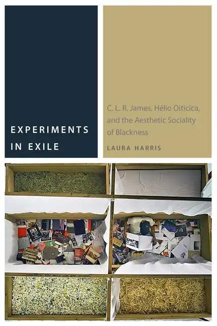 Experiments in Exile: C. L. R. James, Hélio Oiticica, and the Aesthetic Sociality of Blackness - Paperback