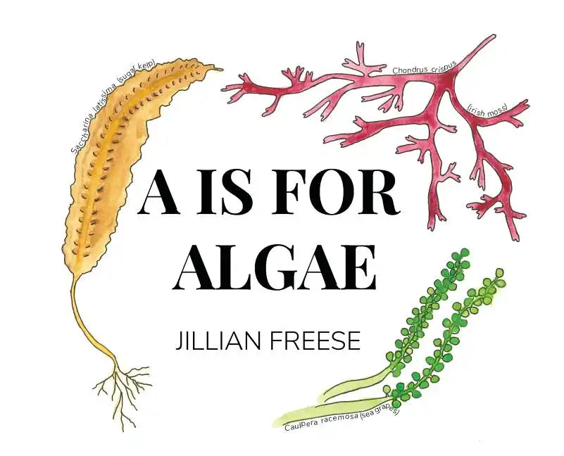 A is for Algae - Hardcover
