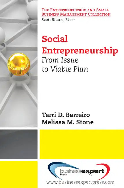 Social Entrepreneurship: From Issue to Viable Plan - Paperback