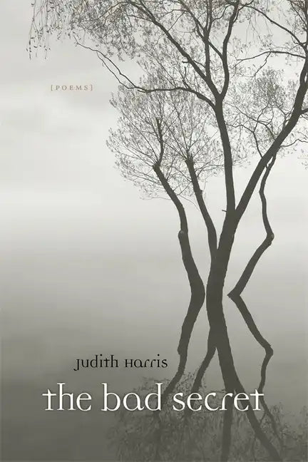 Bad Secret: Poems - Paperback