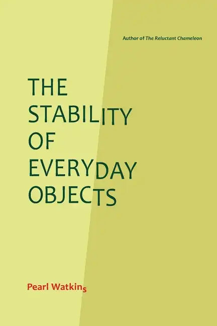 The Stability of Everyday Objects - Paperback