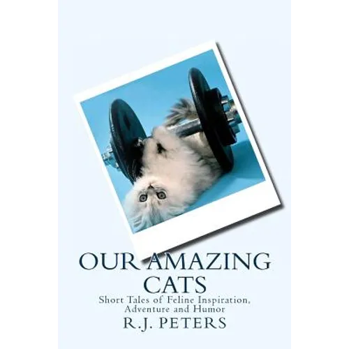 Our Amazing Cats: Short Tales of Feline Inspiration, Adventure and Humor - Paperback