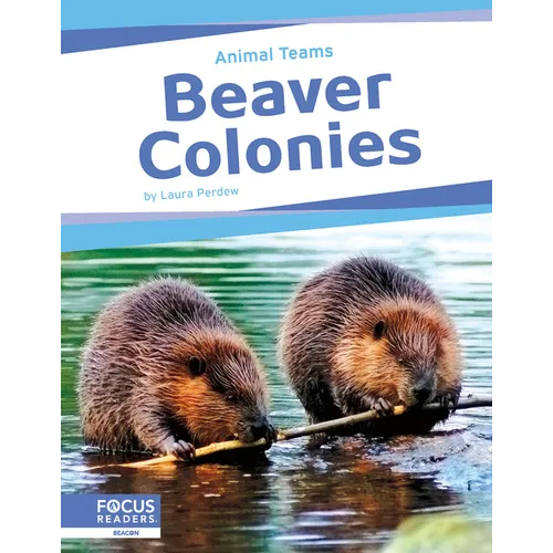 Beaver Colonies - Paperback