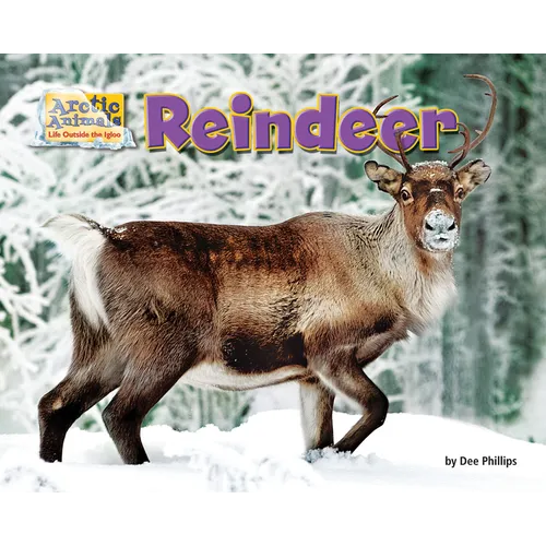 Reindeer - Paperback