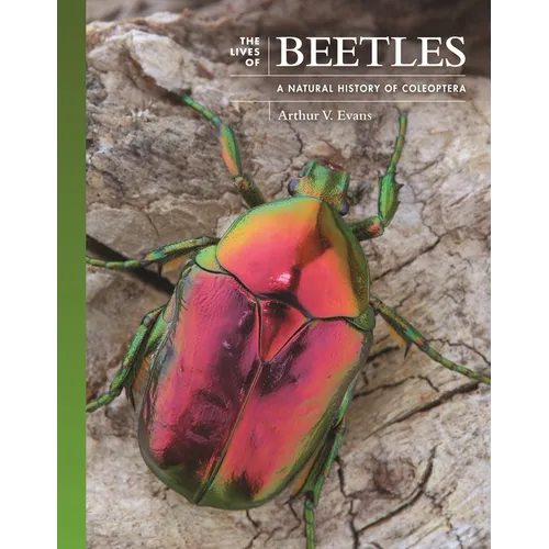 The Lives of Beetles: A Natural History of Coleoptera - Hardcover