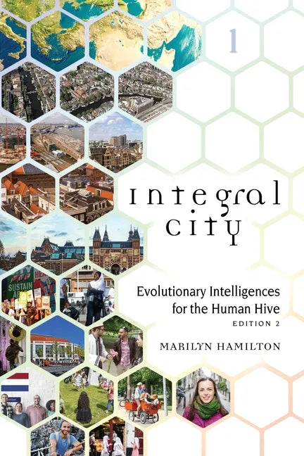 Integral City: Evolutionary Intelligences for the Human Hive - Paperback