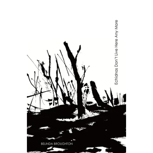 Echidnas Don't Live Here Any More: Poems of loss and recovery since the Black Summer bushfires - Paperback