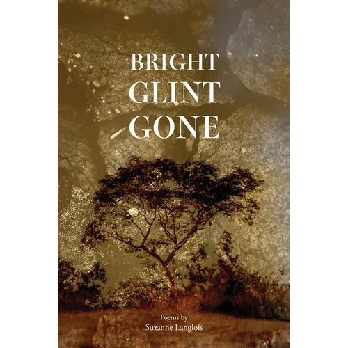 Bright Glint Gone - Paperback
