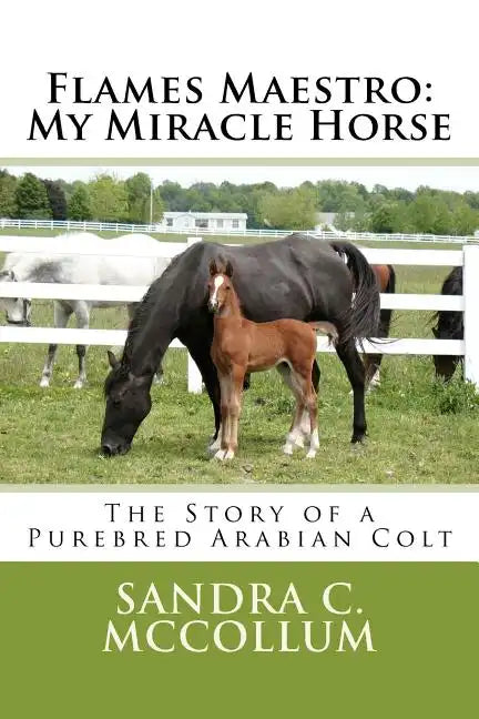 Flames Maestro: My Miracle Horse: The Story of a Purebred Arabian Colt - Paperback