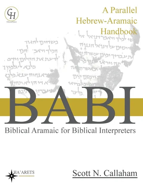 Biblical Aramaic for Biblical Interpreters: A Parallel Hebrew-Aramaic Handbook - Hardcover