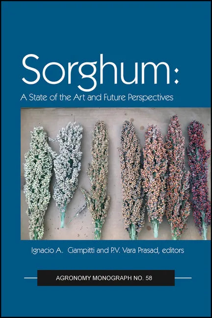 Sorghum: State of the Art and Future Perspectives - Hardcover
