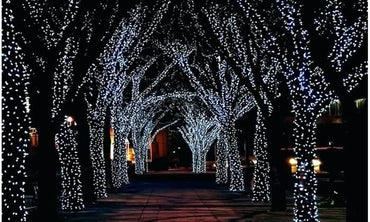 Solar-Powered 100 LED Fairy Light String - Assorted Colors