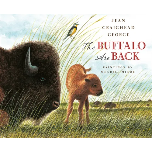 The Buffalo Are Back - Paperback