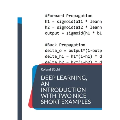 Deep Learning, an introduction with two nice short examples - Paperback