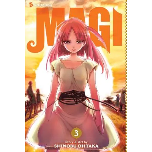 Magi: The Labyrinth of Magic, Vol. 3 - Paperback