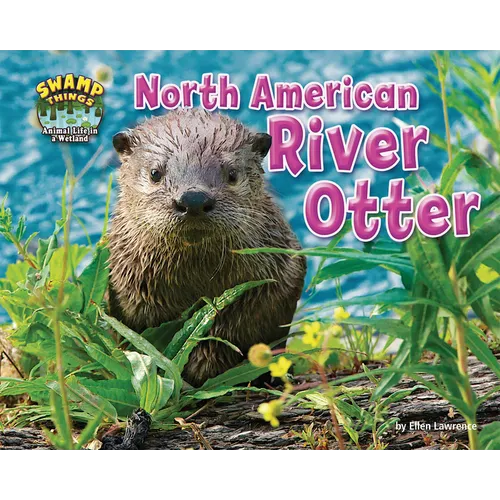 North American River Otter - Paperback