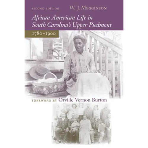 African American Life in South Carolina's Upper Piedmont, 1780-1900 - Paperback