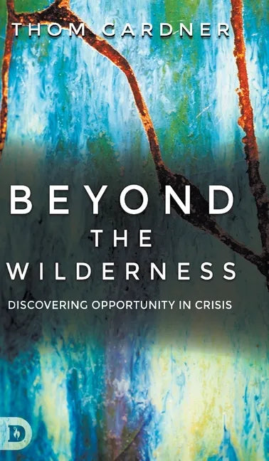 Beyond the Wilderness: Discovering Opportunity in Crisis - Hardcover