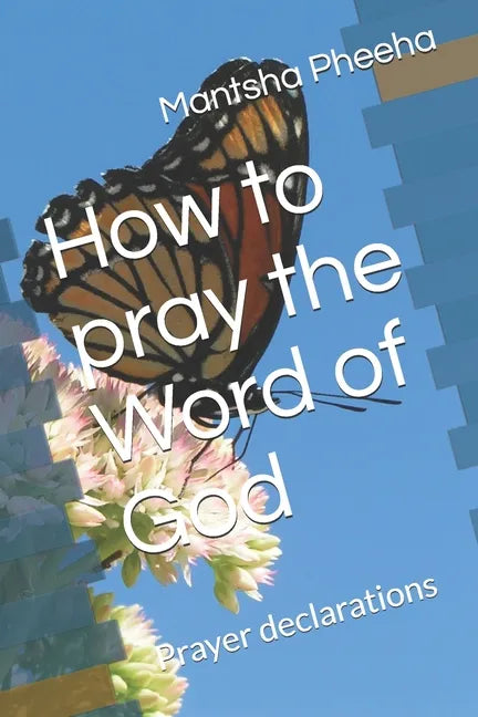 How to pray the Word of God: Prayer declarations - Paperback