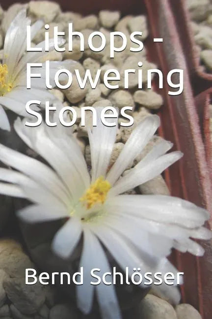 Lithops - Flowering Stones - Paperback