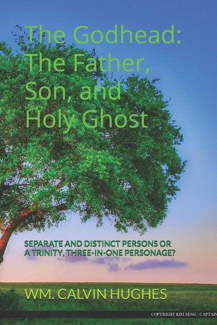 The Godhead: The Father, Son, and the Holy Ghost: Separate and Distinct Individuals or a Trinity, Three-In-One Personage? - Paperback