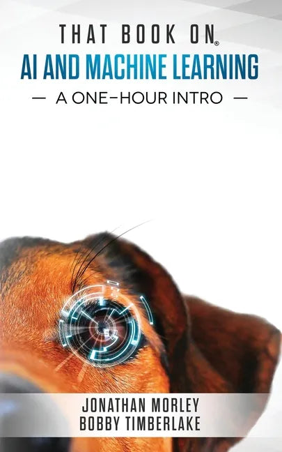 That Book on AI and Machine Learning: A One-Hour Intro - Paperback