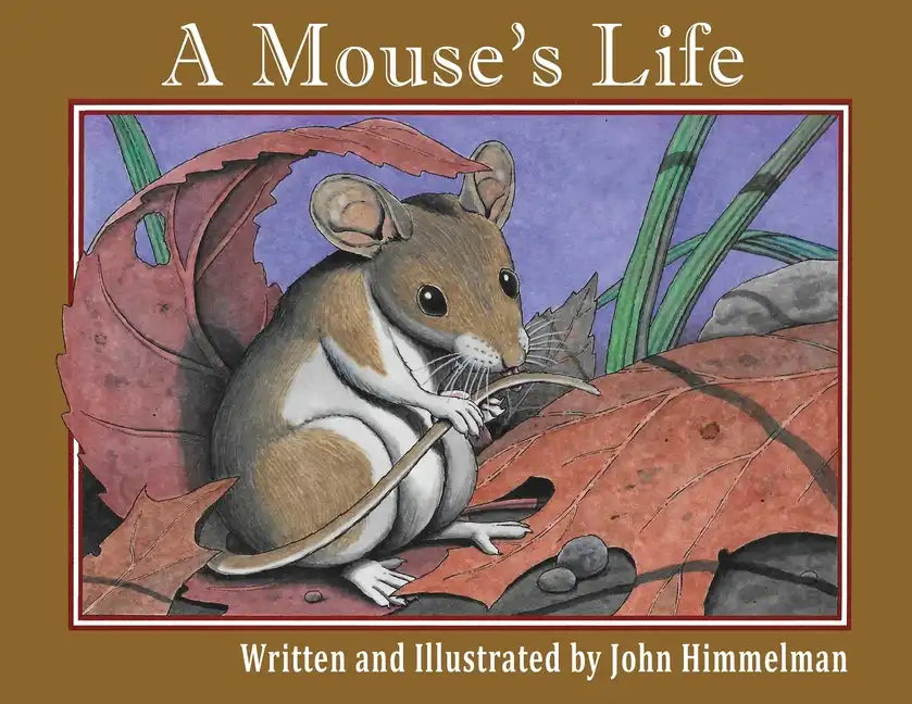 A Mouse's Life - Paperback