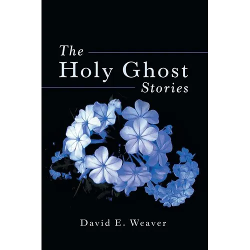 The Holy Ghost Stories - Paperback