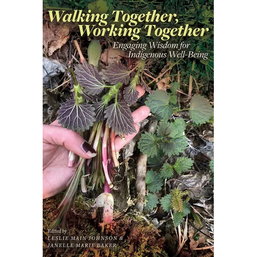 Walking Together, Working Together: Engaging Wisdom for Indigenous Well-Being - Paperback
