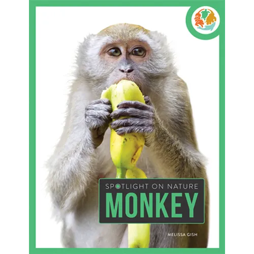 Monkey - Paperback