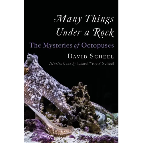 Many Things Under a Rock: The Mysteries of Octopuses - Hardcover