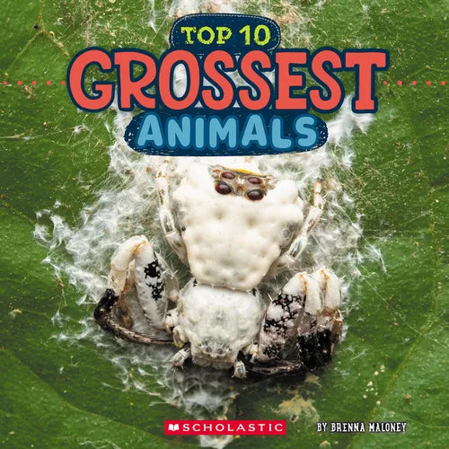 Grossest Animals (Wild World: Top 10) - Paperback