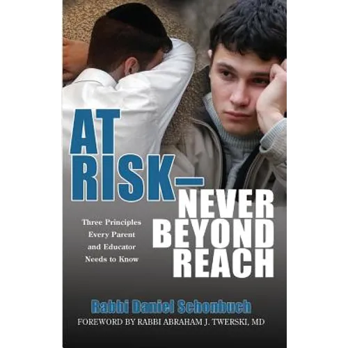 At Risk - Never Beyond Reach: Three Principles Every Parent and Educator Needs to Know - Paperback