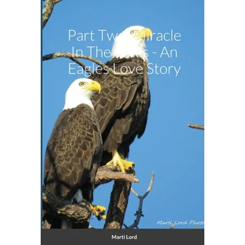 Part Two: Miracle In The Pines - An Eagles Love Story - Paperback