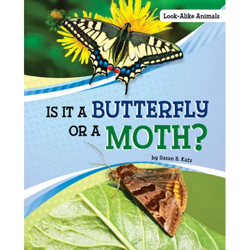 Is It a Butterfly or a Moth? - Hardcover