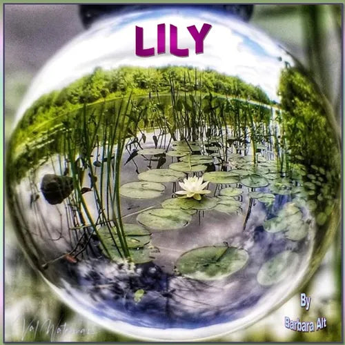 Lily - Paperback