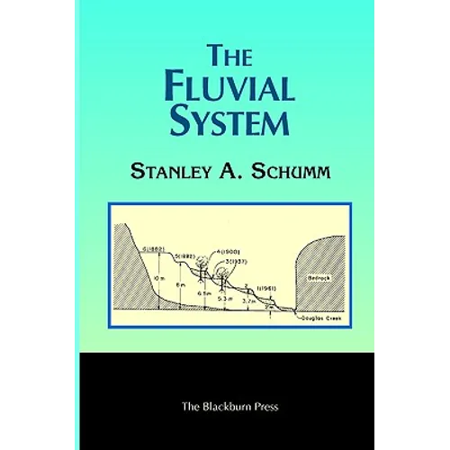 The Fluvial System - Paperback