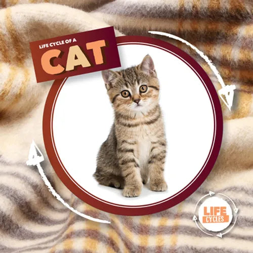 Life Cycle of a Cat - Library Binding