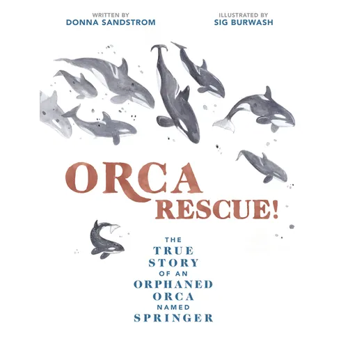Orca Rescue!: The True Story of an Orphaned Orca Named Springer - Hardcover