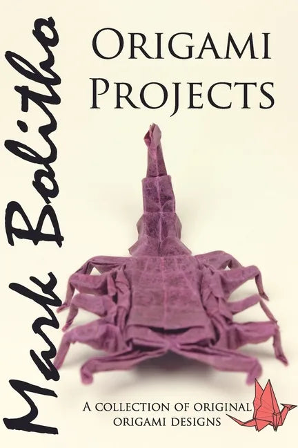 Origami Projects: A collection of original origami designs - Paperback